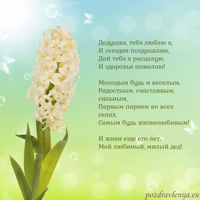 Открытка с гиацинтом