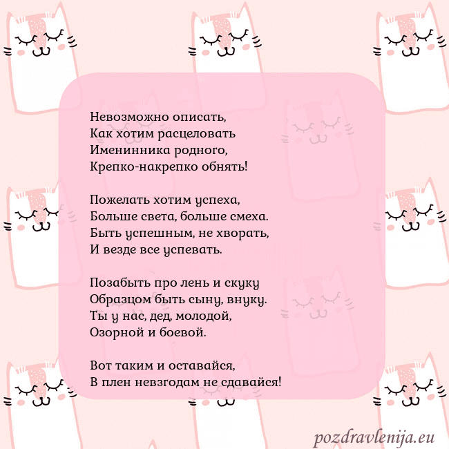 Розовая открытка с забавными кошками