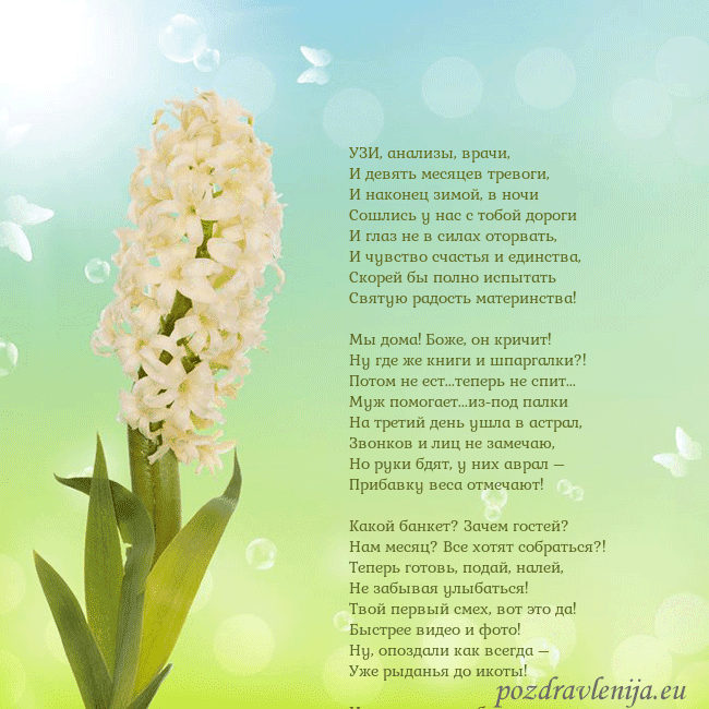 Открытка с гиацинтом