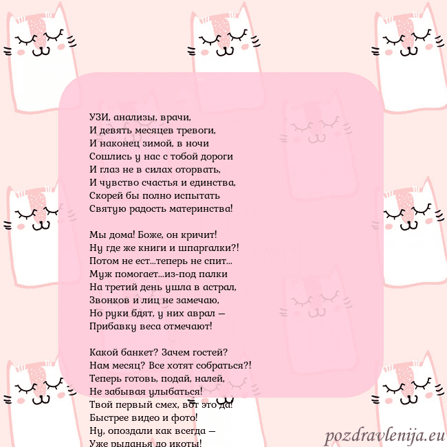 Розовая открытка с забавными кошками