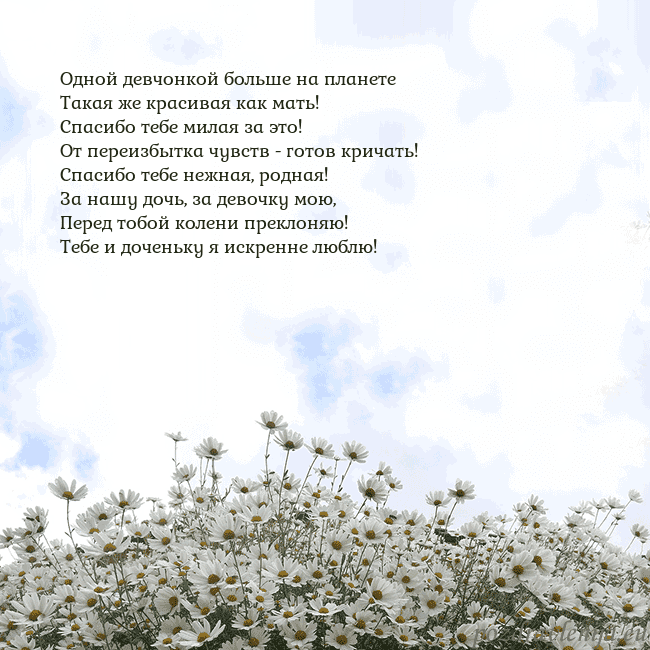 Открытка с ромашками