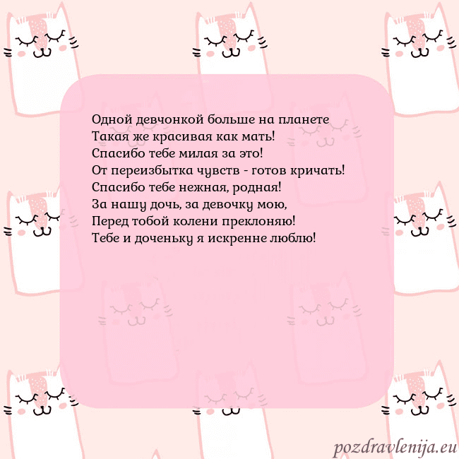 Розовая открытка с забавными кошками