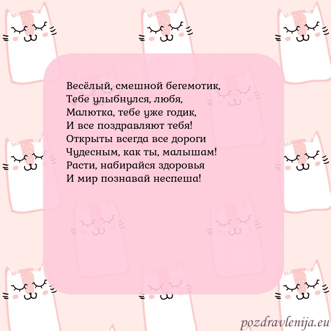 Розовая открытка с забавными кошками