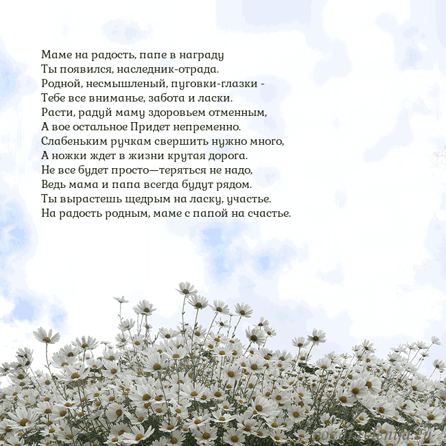 Открытка с ромашками