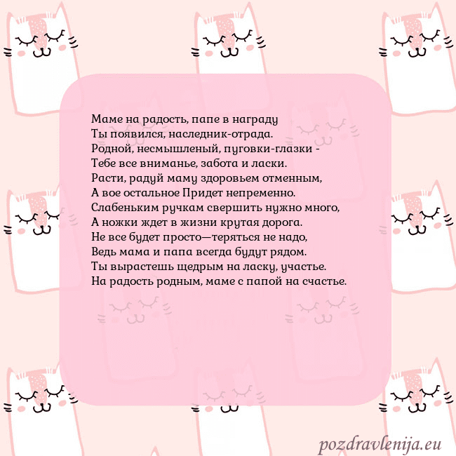 Розовая открытка с забавными кошками