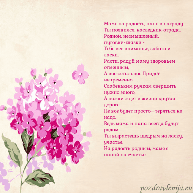 Открытка с гортензией