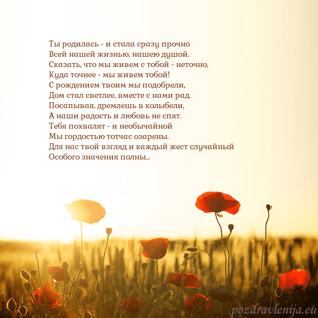 Электронная открытка с полем маков