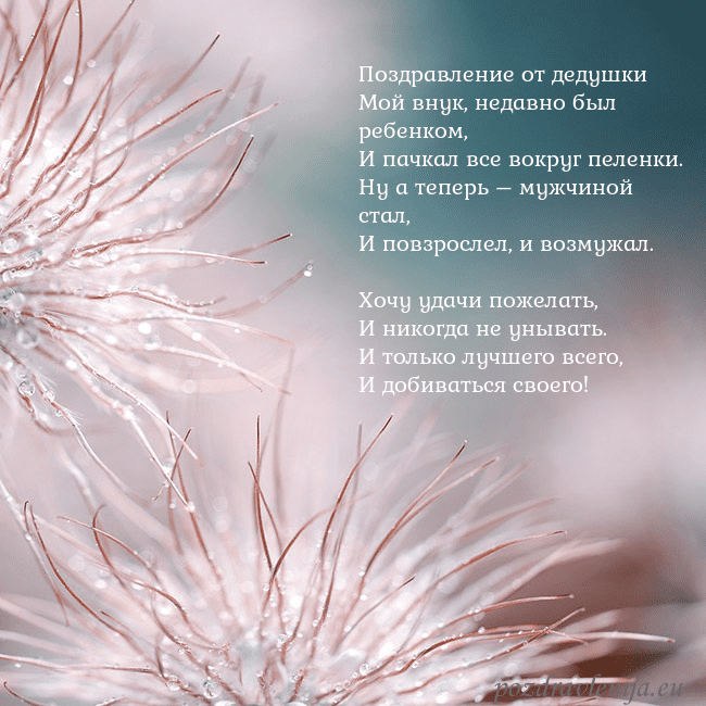 Открытка с пушистыми растениями