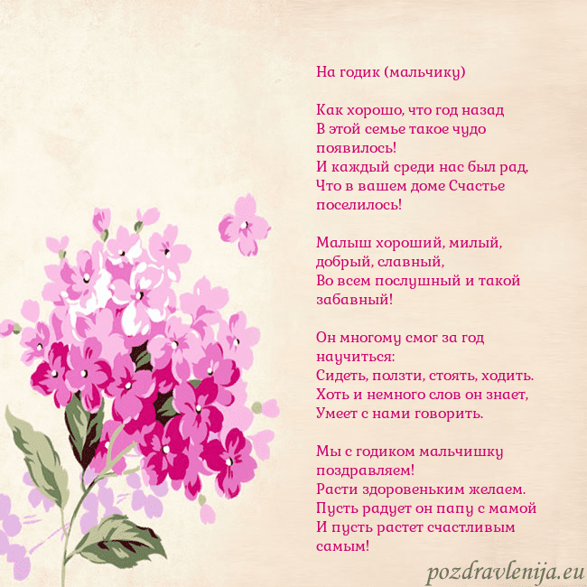 Открытка с гортензией