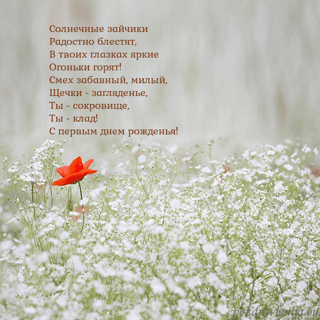Электронная открытка с белыми цветами