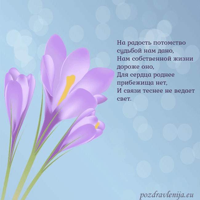 Открытка с крокусом