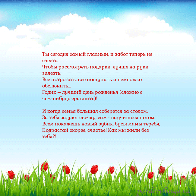 Открытка с тюльпанами