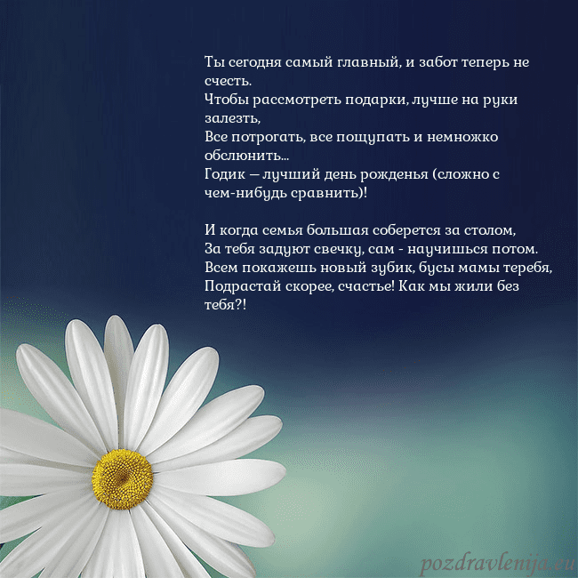 Открытка с большой ромашкой