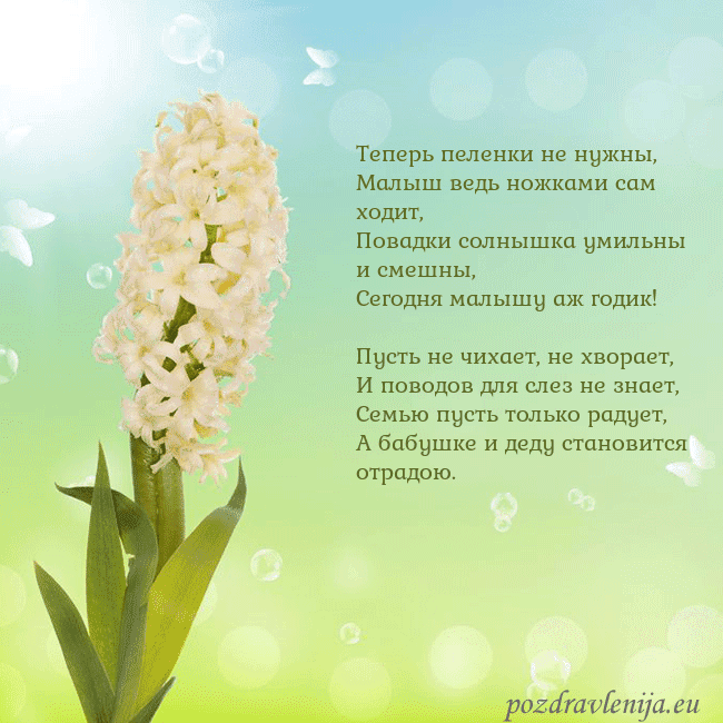 Открытка с гиацинтом