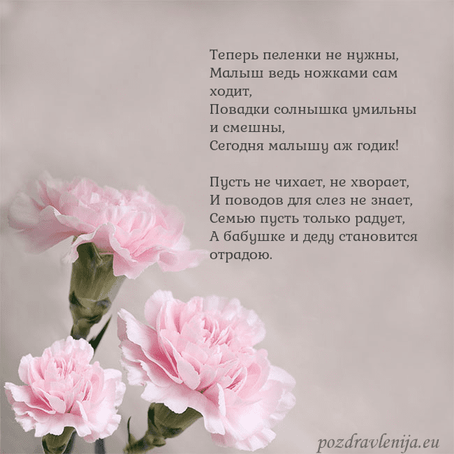 Открытка с розовыми гвоздиками