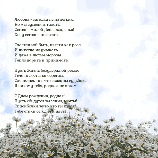 Открытка с ромашками