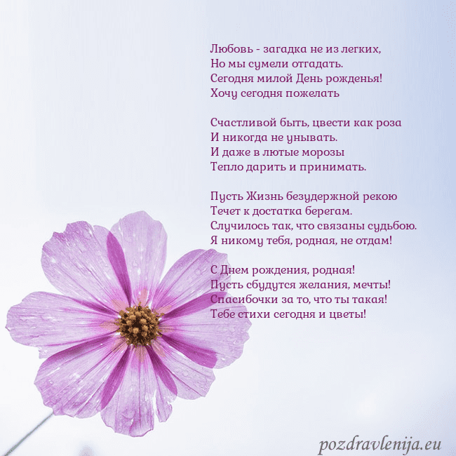 Электронная открытка с фиолетовым цветком