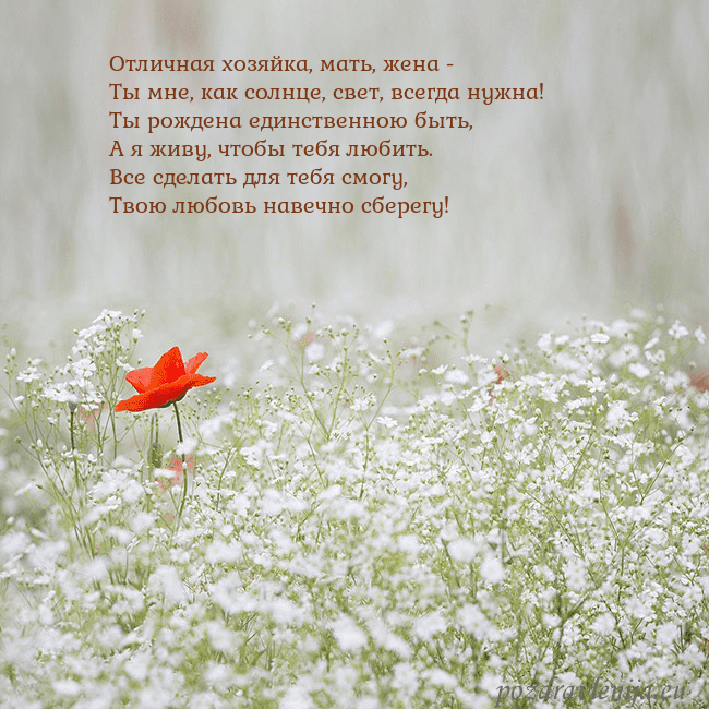 Электронная открытка с белыми цветами