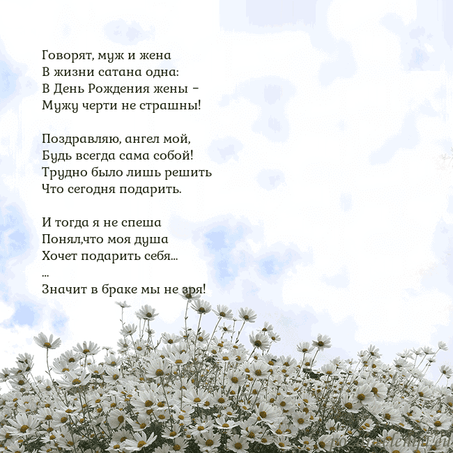 Открытка с ромашками