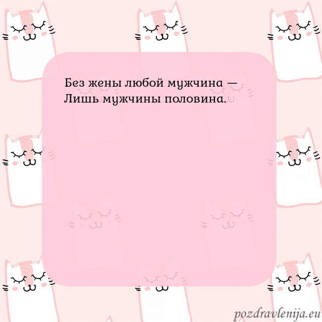 Розовая открытка с забавными кошками