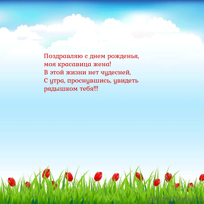 Открытка с тюльпанами