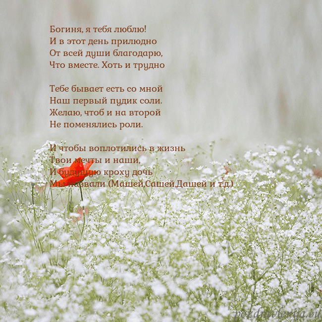 Электронная открытка с белыми цветами