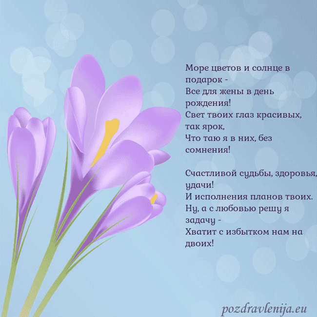 Открытка с крокусом