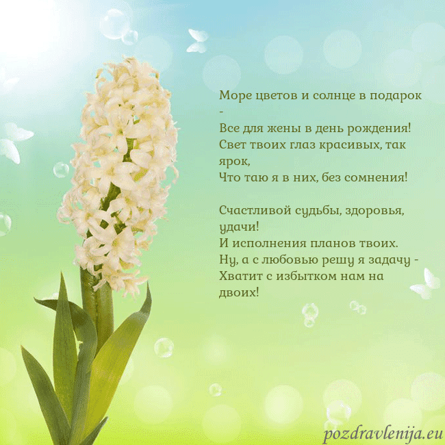 Открытка с гиацинтом