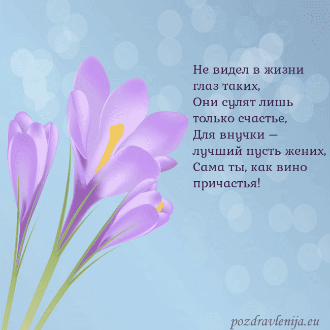 Открытка с крокусом