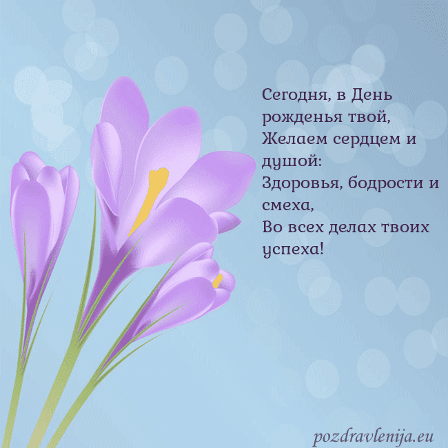 Открытка с крокусом