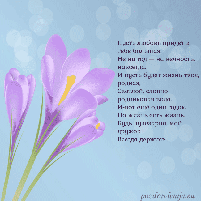 Открытка с крокусом