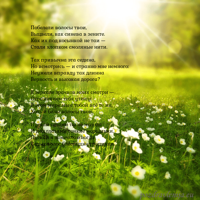 Электронная открытка с утопающим в солнечном свете лугом