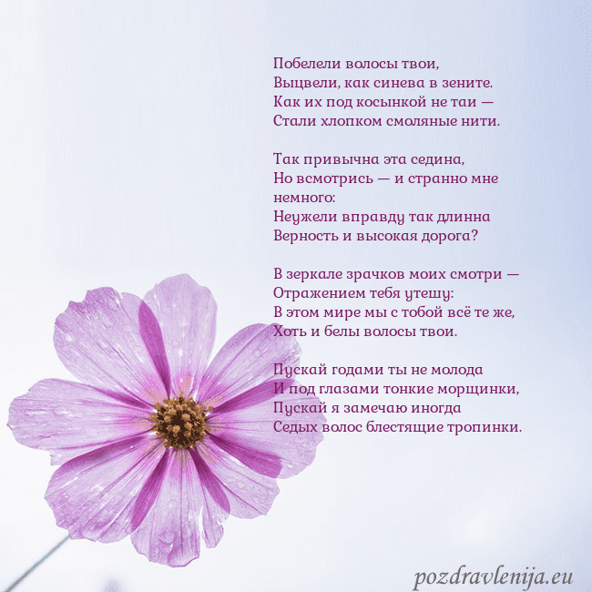 Электронная открытка с фиолетовым цветком