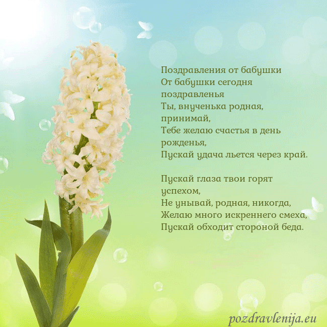 Открытка с гиацинтом