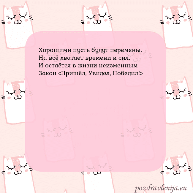 Розовая открытка с забавными кошками