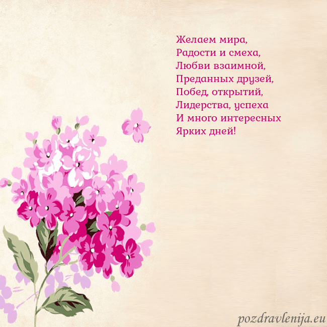 Открытка с гортензией