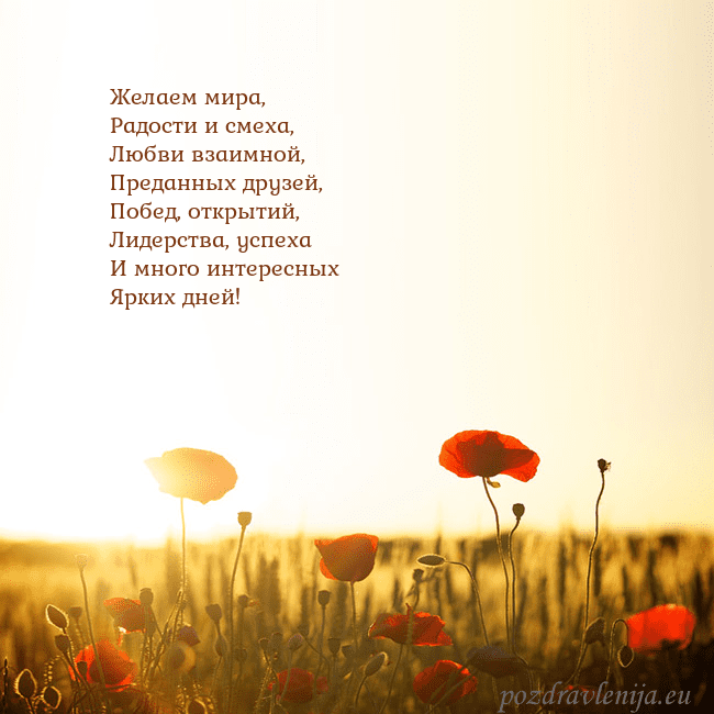 Электронная открытка с полем маков