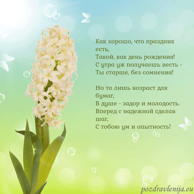 Открытка с гиацинтом