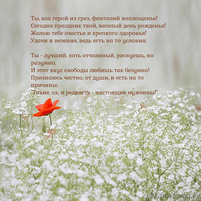 Электронная открытка с белыми цветами