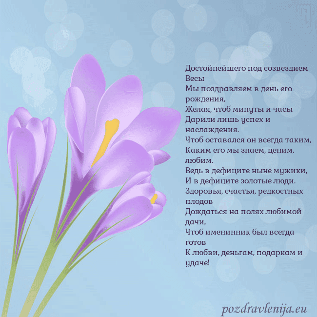 Открытка с крокусом