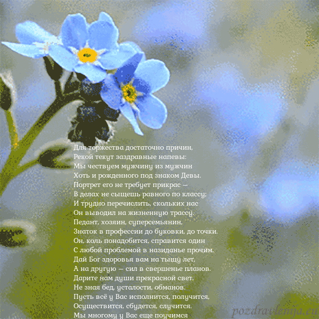 Электронная анимированная открытка с незабудками Для торжества достаточно причин,
Рекой текут заздр Электронная анимированная открытка с незабудками