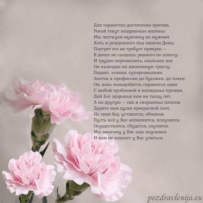 Открытка с розовыми гвоздиками Для торжества достаточно причин,
Рекой текут заздр Открытка с розовыми гвоздиками