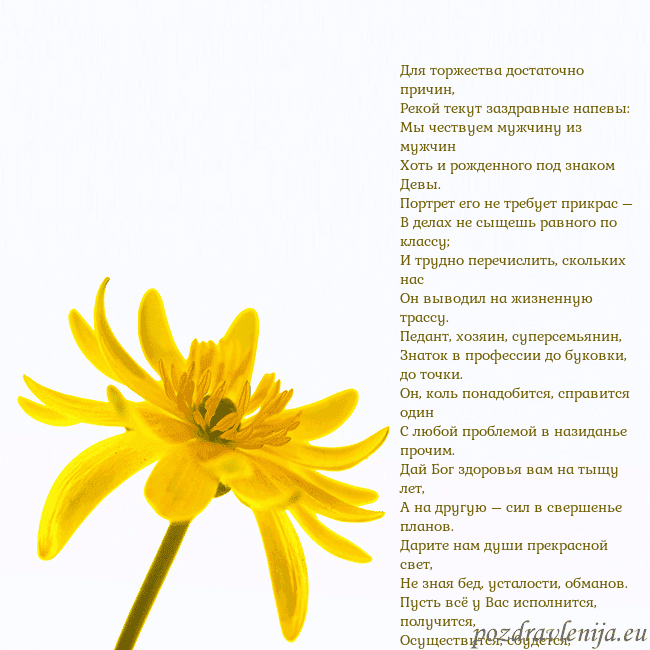 Открытка с желтым цветком Для торжества достаточно причин,
Рекой текут заздр Открытка с желтым цветком