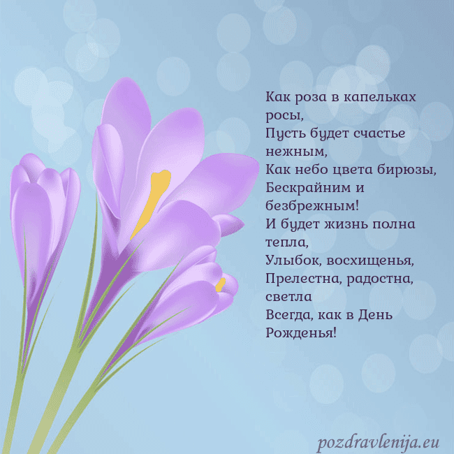 Открытка с крокусом