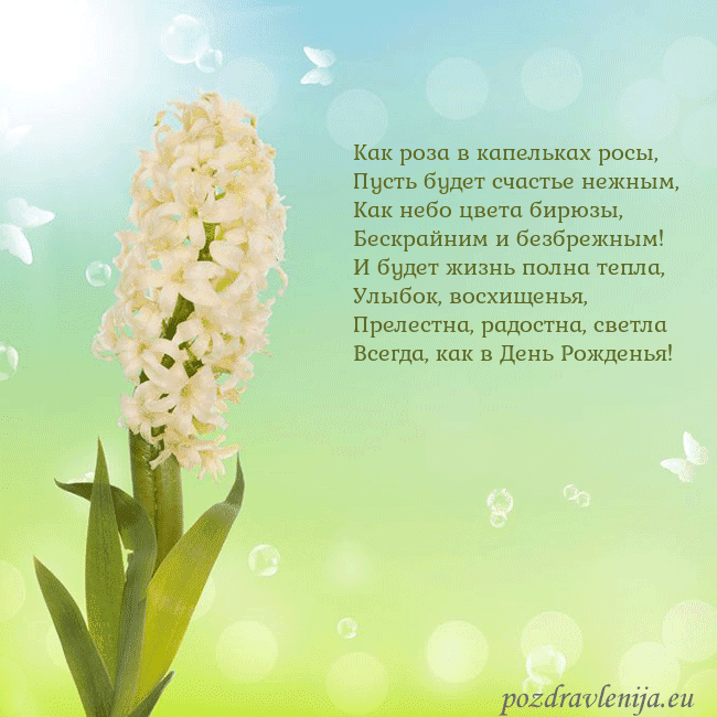 Открытка с гиацинтом