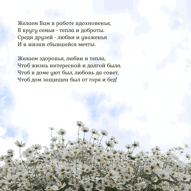 Открытка с ромашками