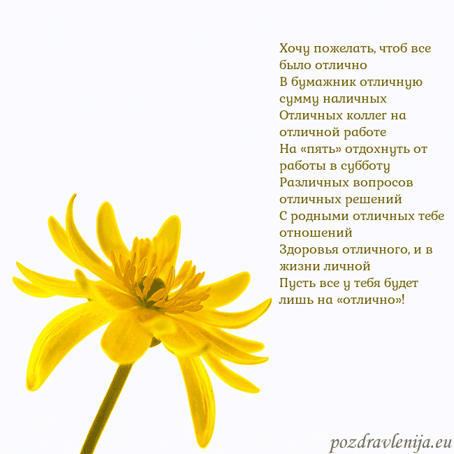 Открытка с желтым цветком