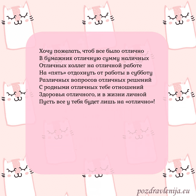 Розовая открытка с забавными кошками