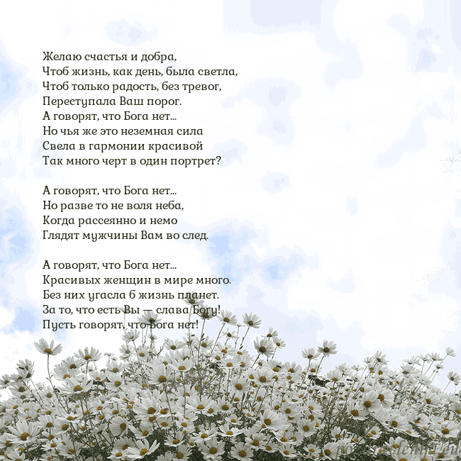 Открытка с ромашками
