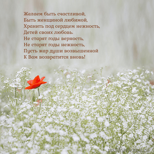 Электронная открытка с белыми цветами